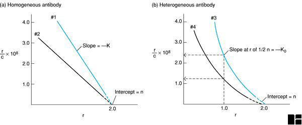 KUBY'S FIGURE 6-3